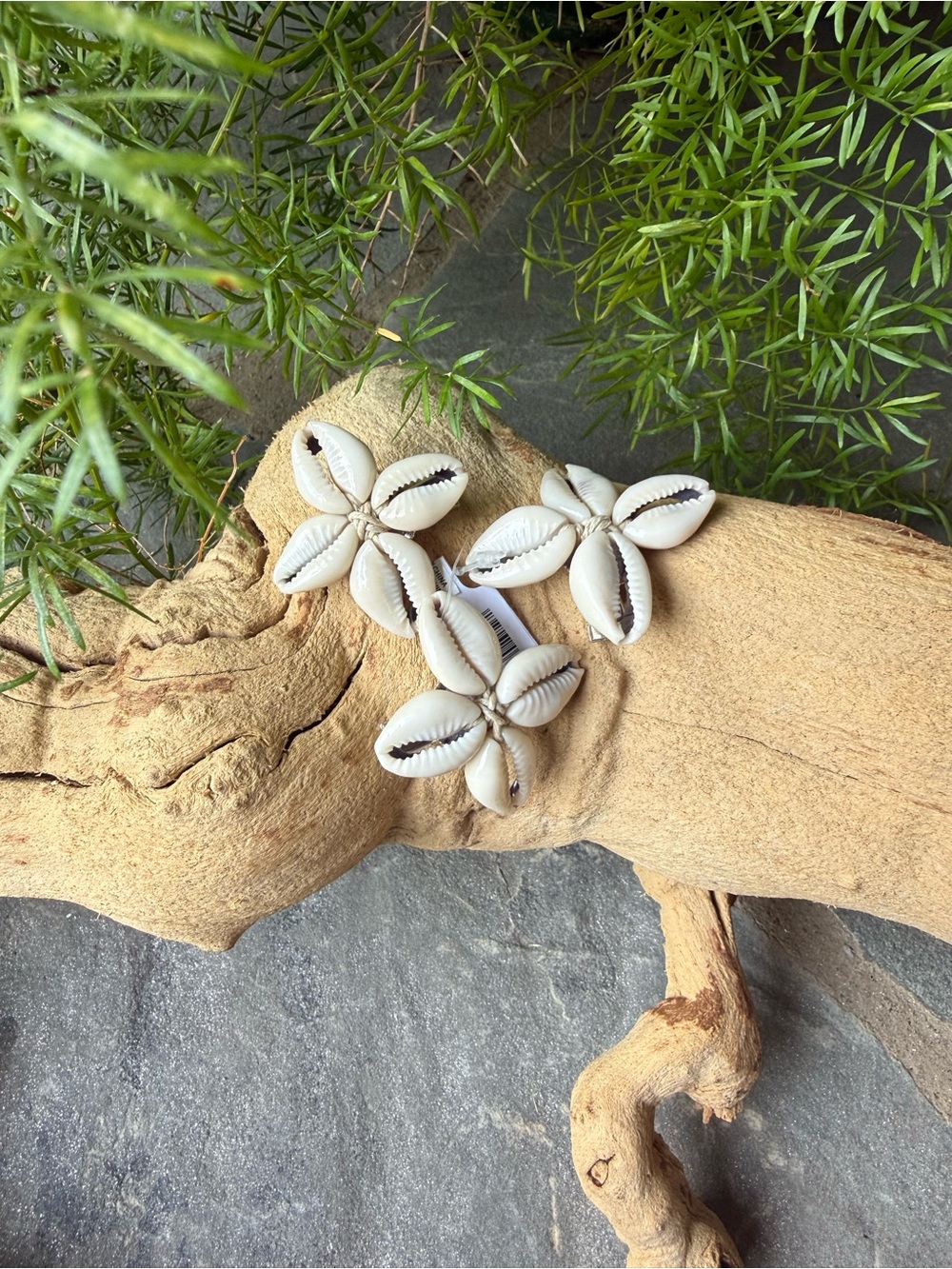 New🌟Free People-Shell Cluster Hair Clips - Cowrie Shell Design